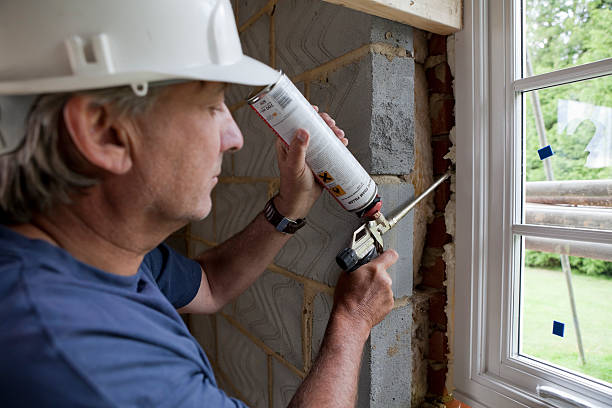 Best Insulation Replacement Services  in USA